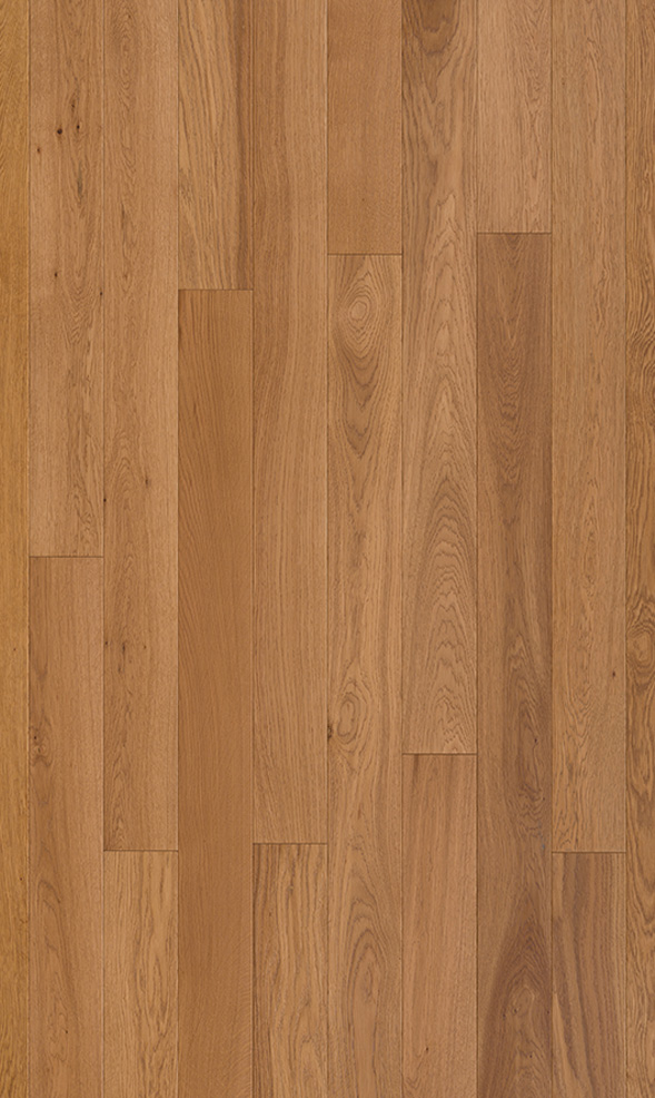 Plank AQ-250
